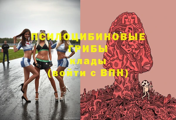 прущие крисы Каменногорск