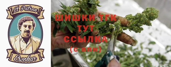 прущие крисы Каменногорск
