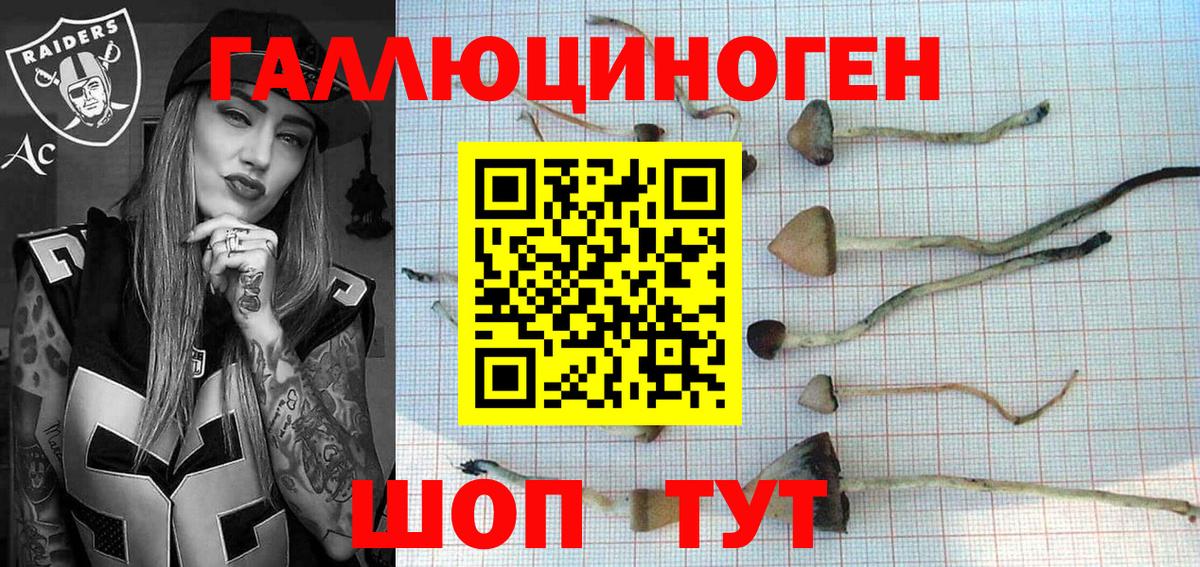 Урай  Галлюциногенные грибы Psilocybe  Вход с VPN 